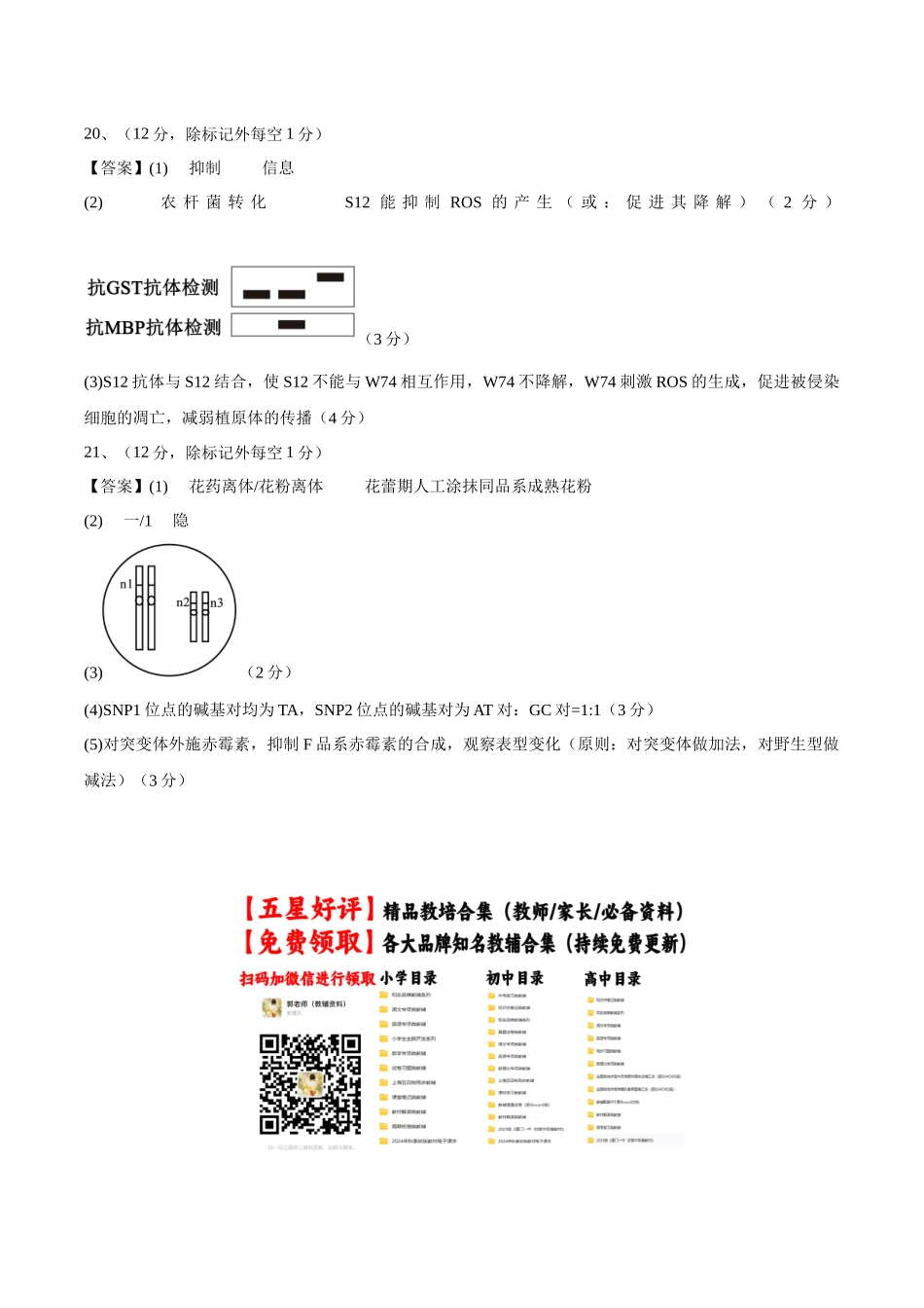 信息必刷卷01(北京专用)(参考答案).docx_第2页