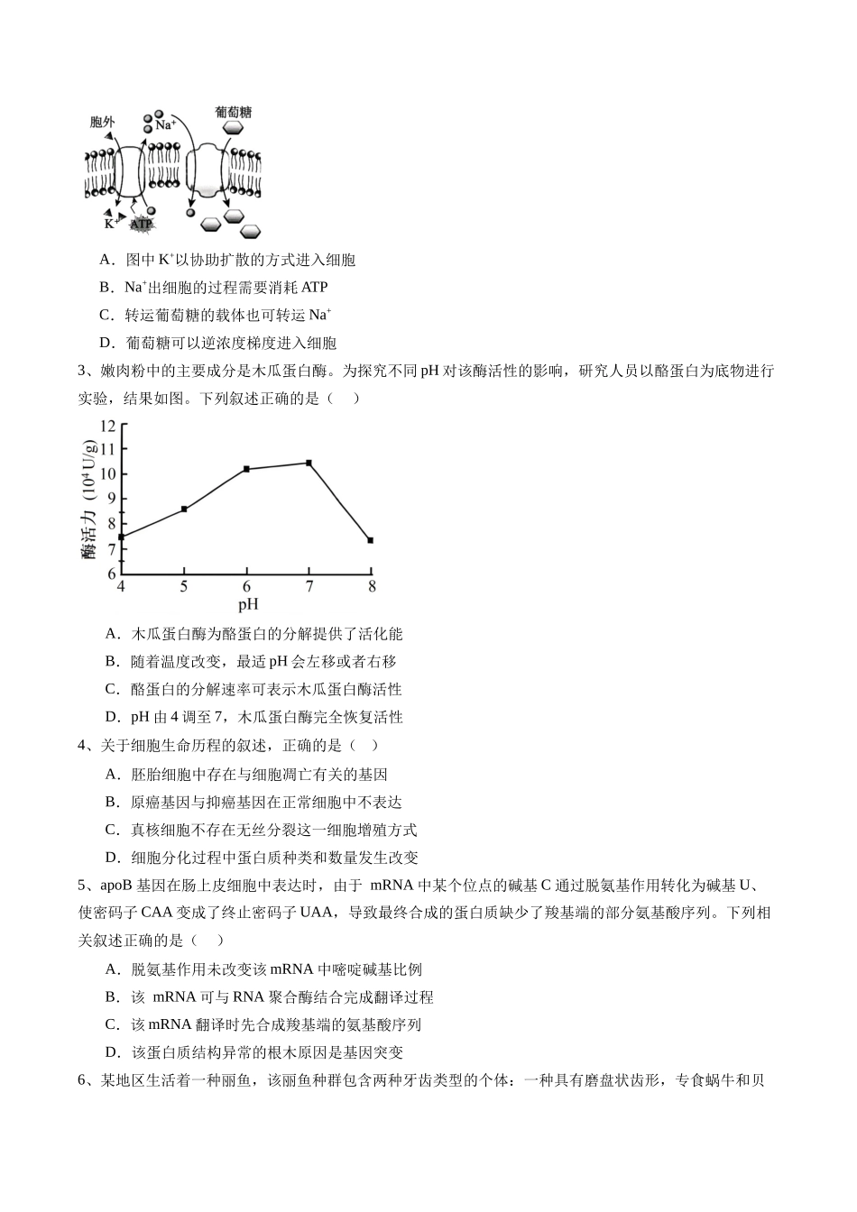 信息必刷卷01(北京专用)(学生版).docx_第2页