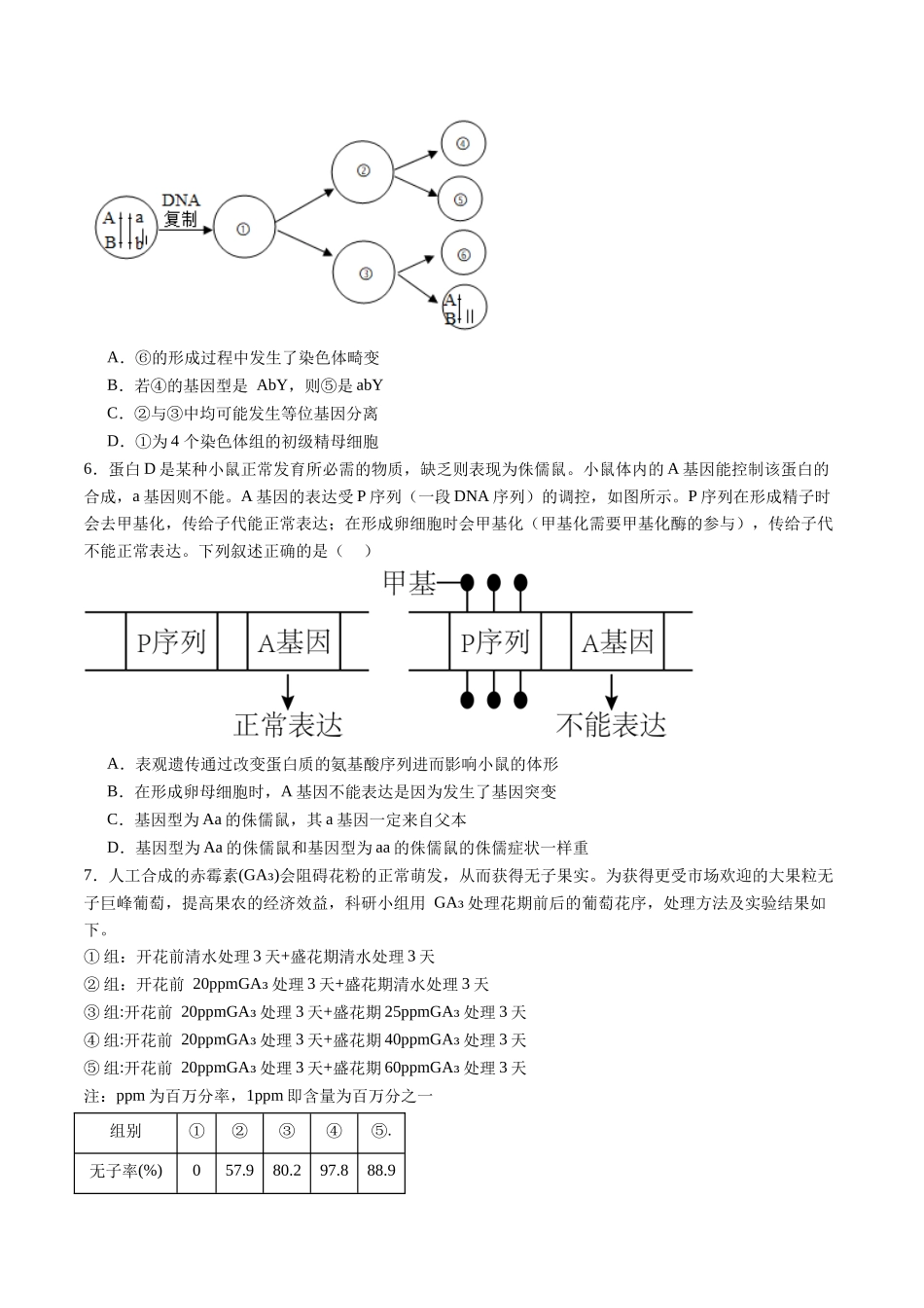 信息必刷卷01(黑吉辽蒙专用)(学生版).docx_第3页