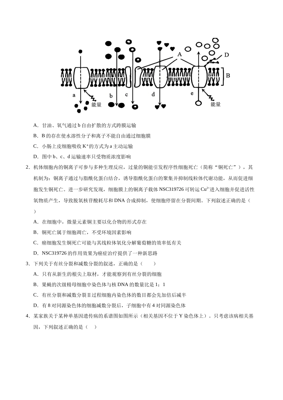 信息必刷卷01（陕西、山西、宁夏、青海专用）（学生版）.docx_第2页