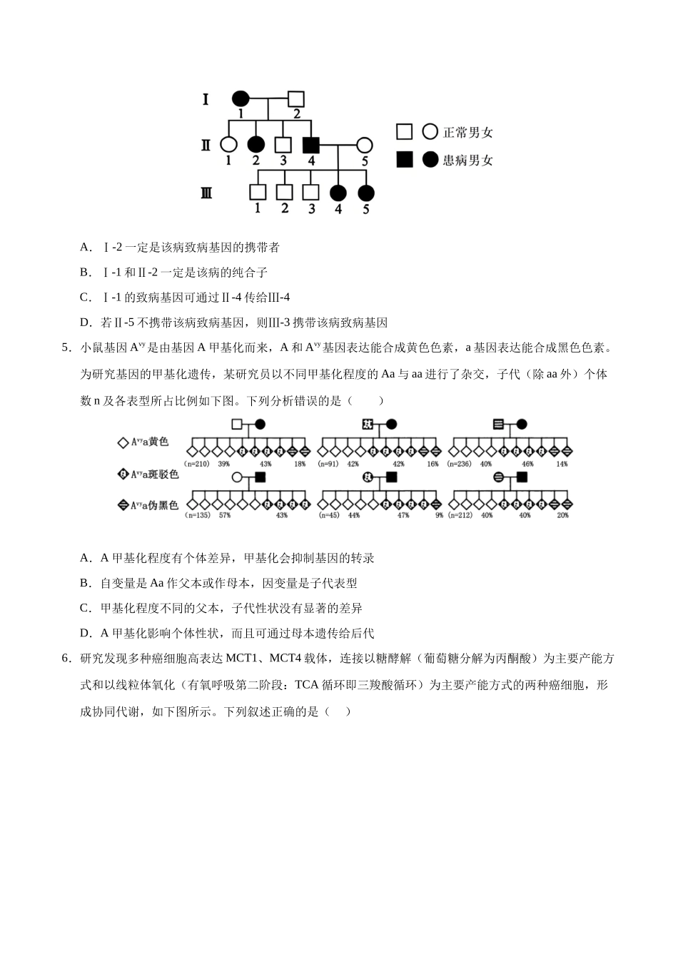 信息必刷卷01（陕西、山西、宁夏、青海专用）（学生版）.docx_第3页