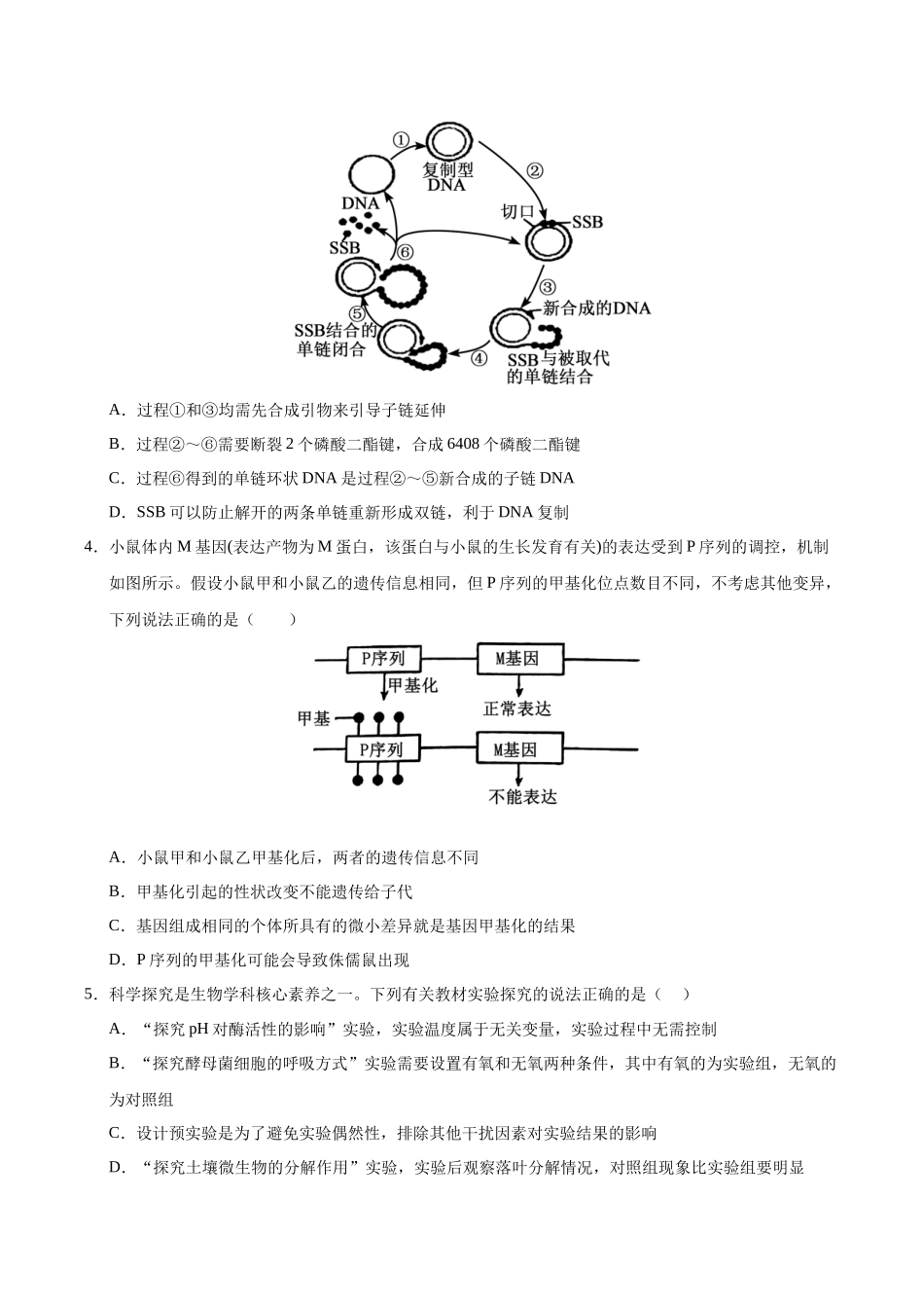 信息必刷卷01（天津专用）（学生版）.docx_第3页
