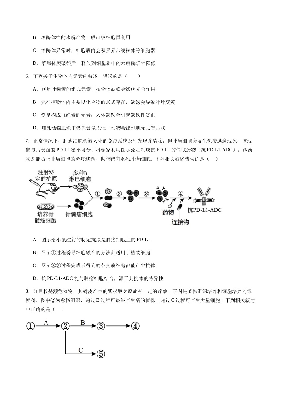 信息必刷卷01(浙江专用)学生版.docx_第3页