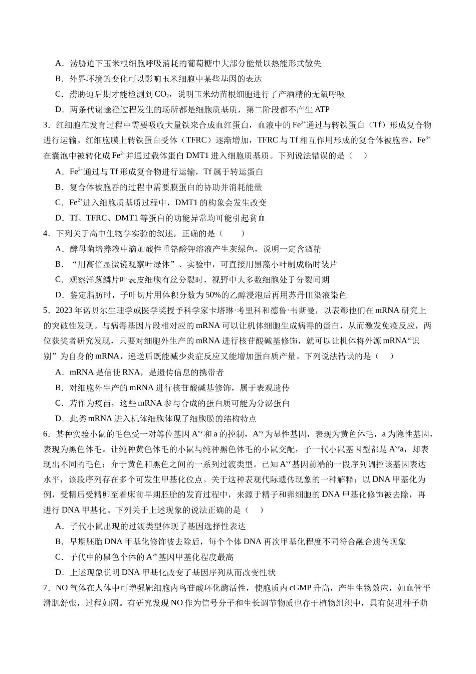 信息必刷卷02（安徽专用）学生版 .docx_第2页