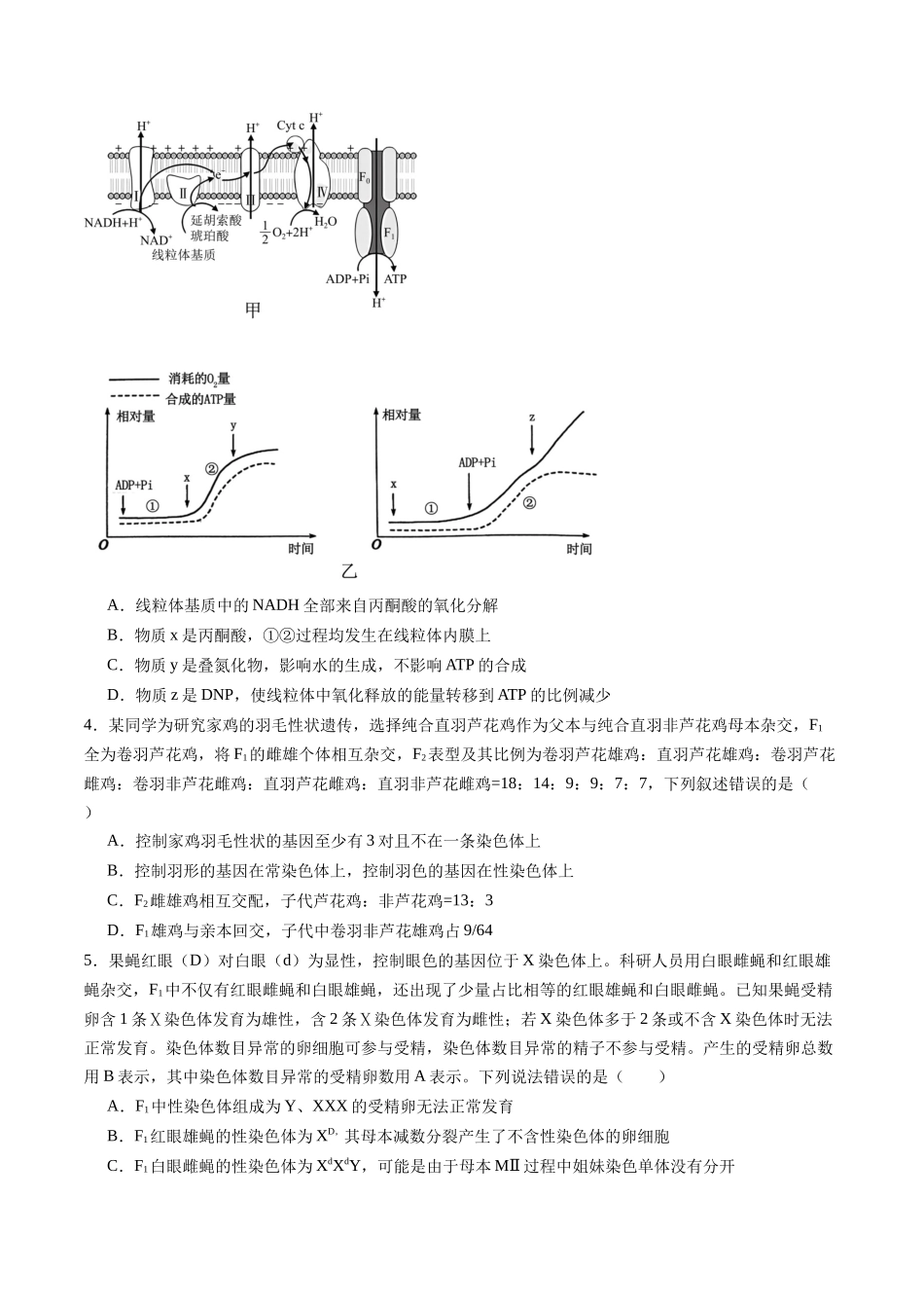 信息必刷卷02（黑吉辽蒙专用）（学生版）.docx_第3页
