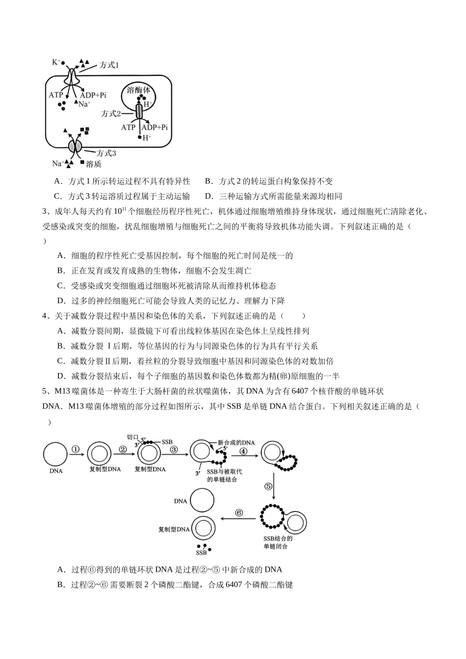 信息必刷卷02(江苏专用)(学生版).docx_第2页