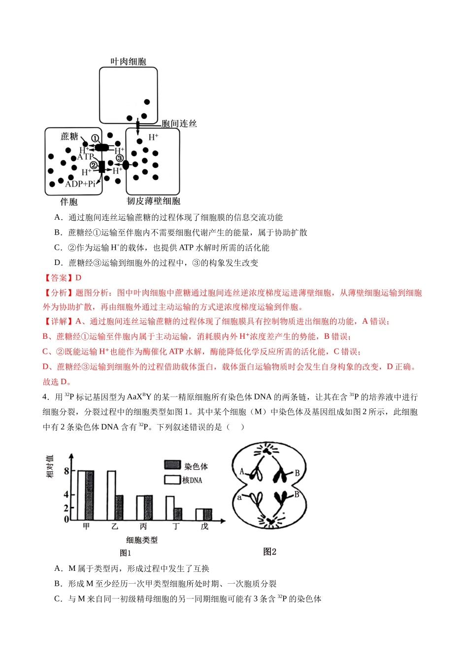 信息必刷卷02(山东专用)教师版.docx_第3页