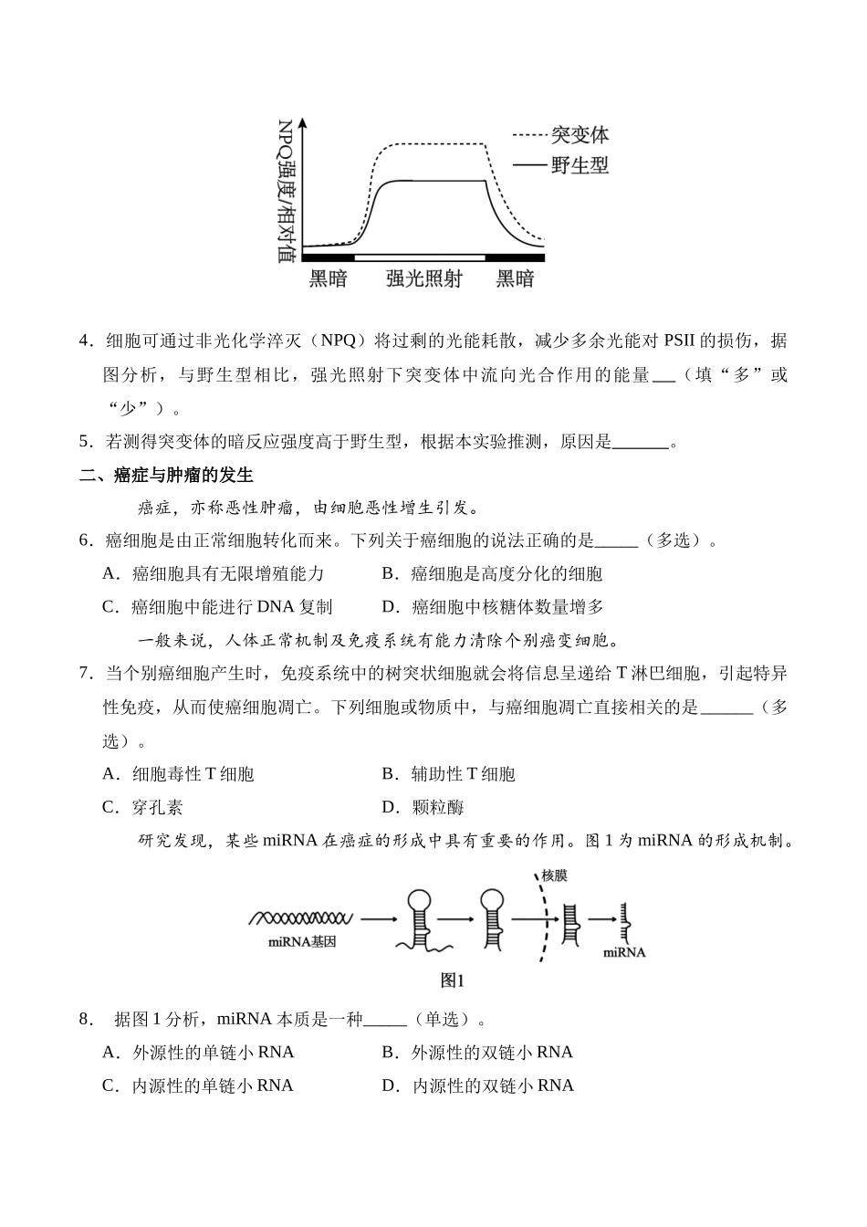 信息必刷卷02(上海专用)(考试版).docx_第3页
