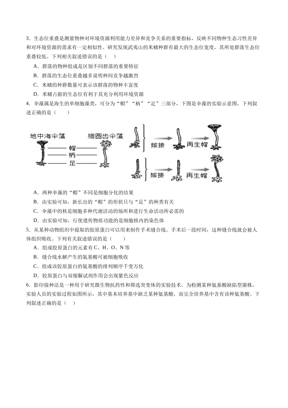 信息必刷卷02(浙江专用)学生版.docx_第2页