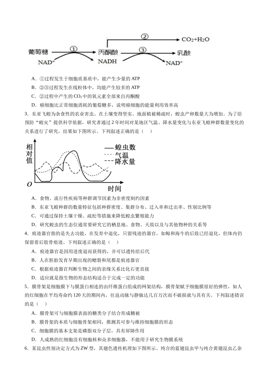 信息必刷卷03（安徽专用）学生版 .docx_第2页