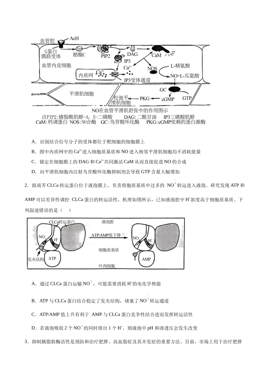信息必刷卷03(黑吉辽蒙专用)(学生版).docx_第2页