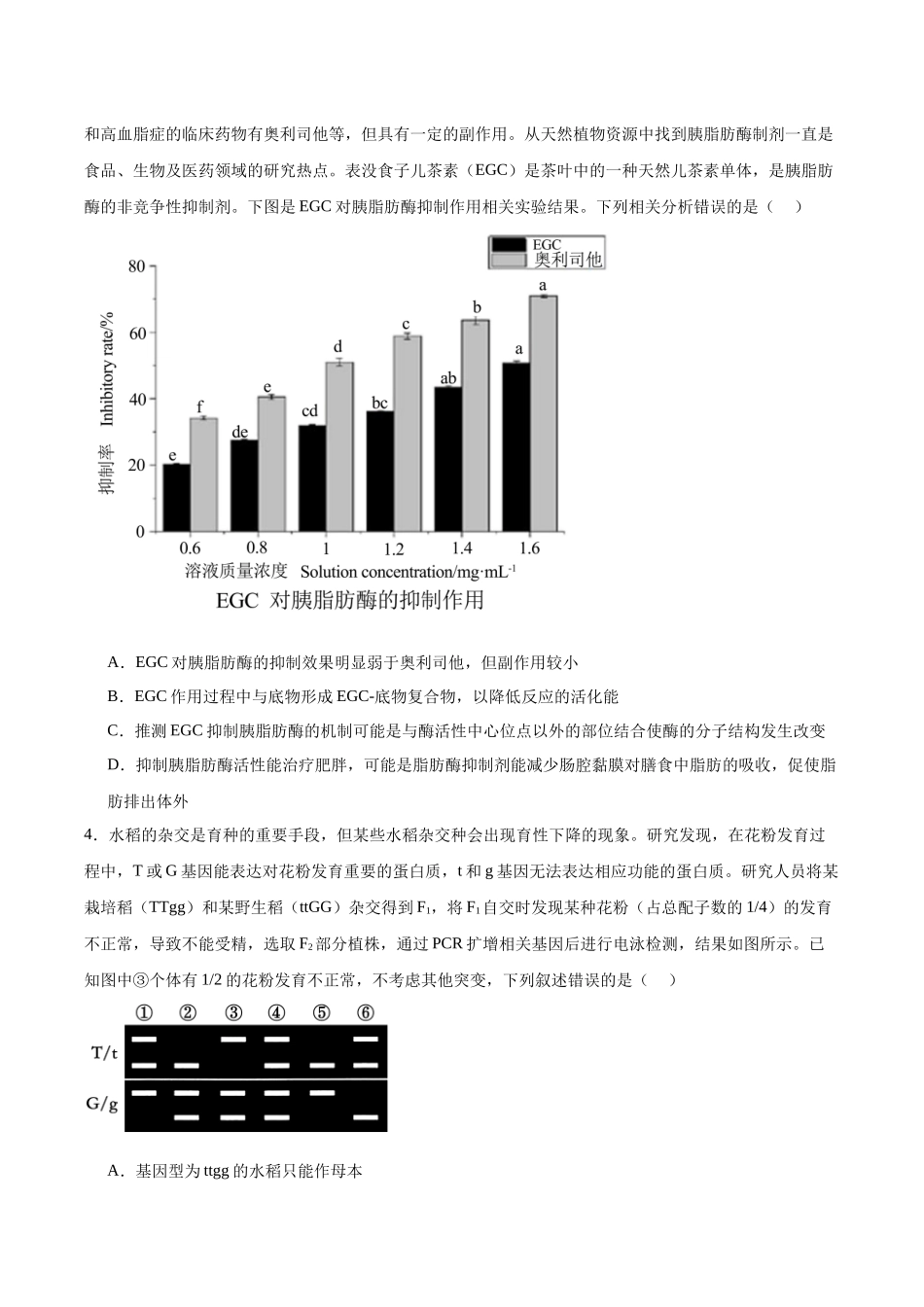 信息必刷卷03(黑吉辽蒙专用)(学生版).docx_第3页