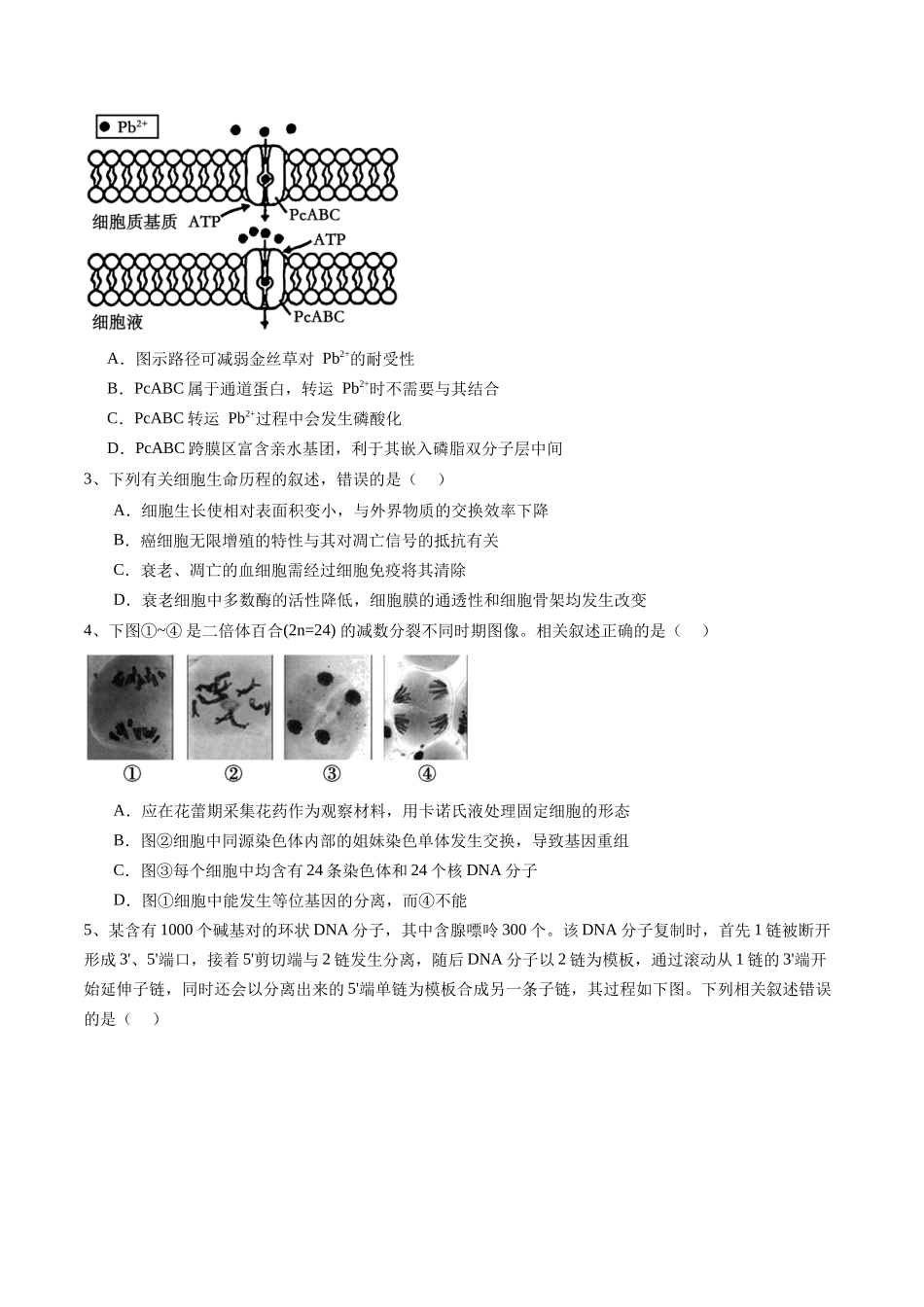 信息必刷卷03(江苏专用)(学生版).docx_第2页