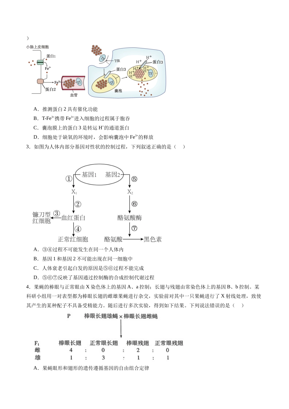 信息必刷卷03（山东专用）学生版.docx_第2页