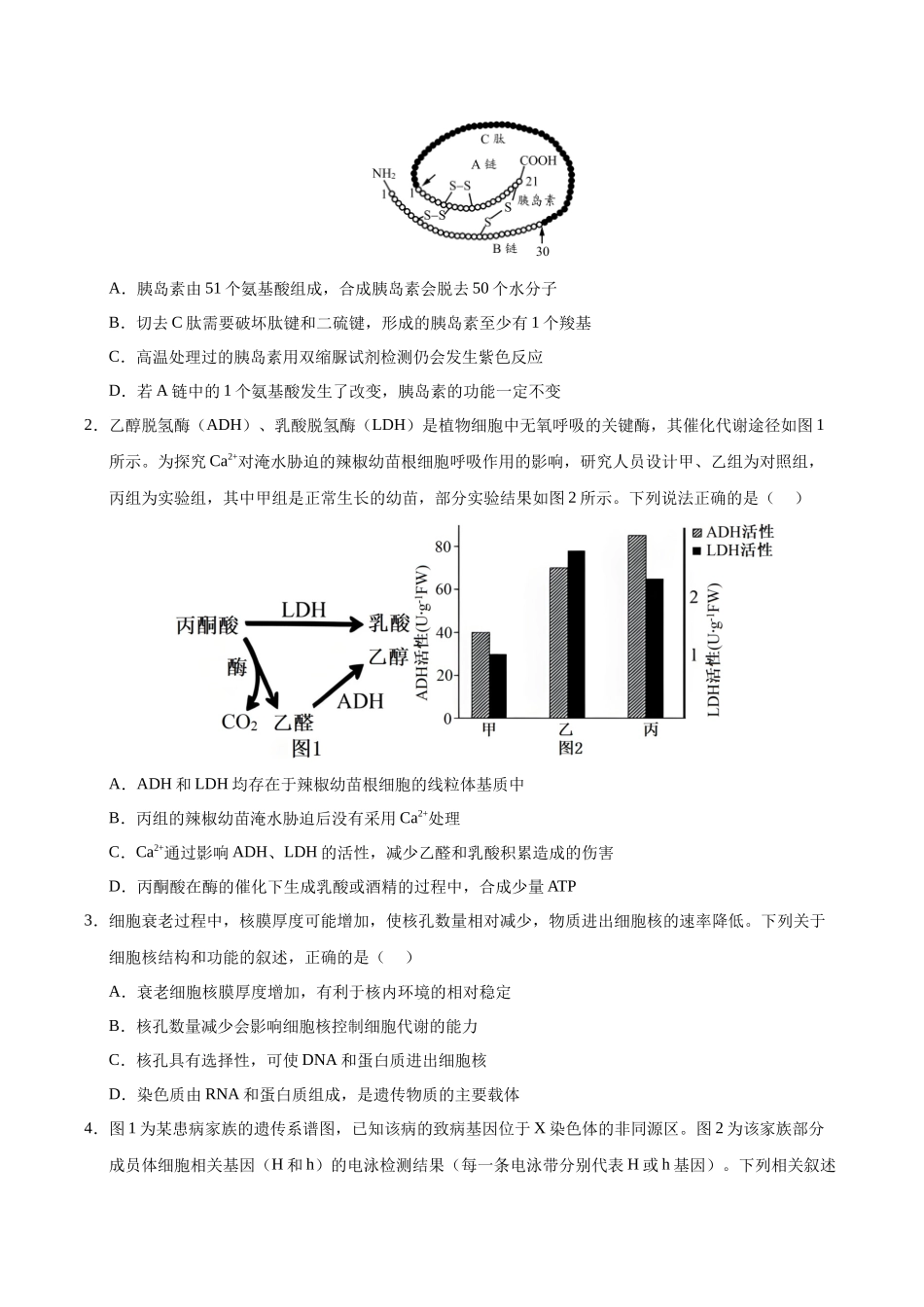 信息必刷卷03（陕西、山西、宁夏、青海专用）（学生版）.docx_第2页