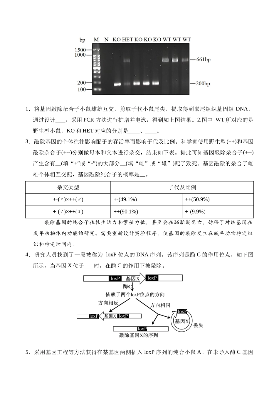 信息必刷卷03(上海专用)学生版.docx_第2页