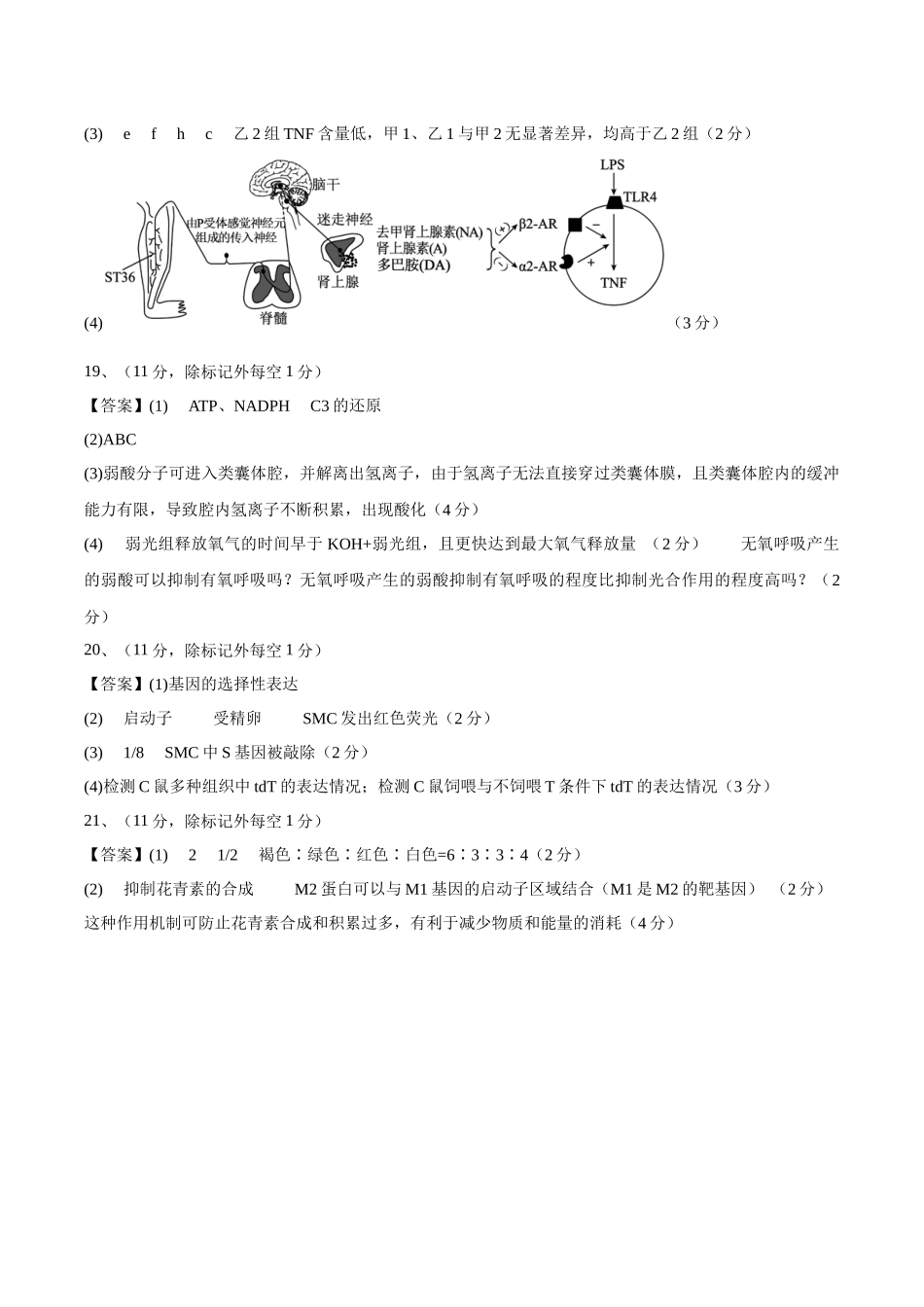 信息必刷卷04（北京专用）（参考答案）.docx_第2页