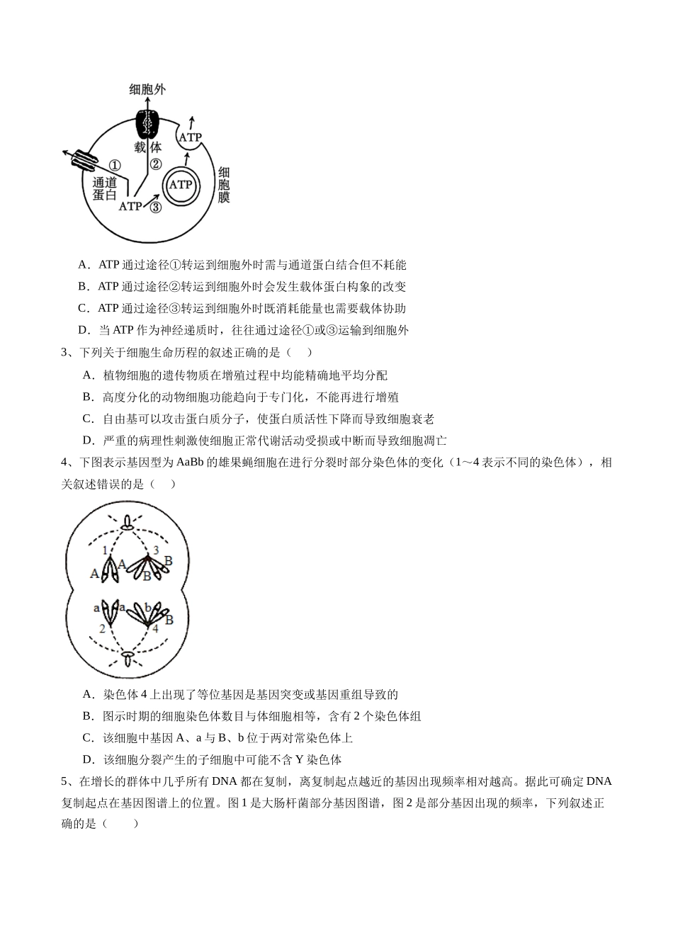 信息必刷卷04（江苏专用）（学生版）.docx_第2页