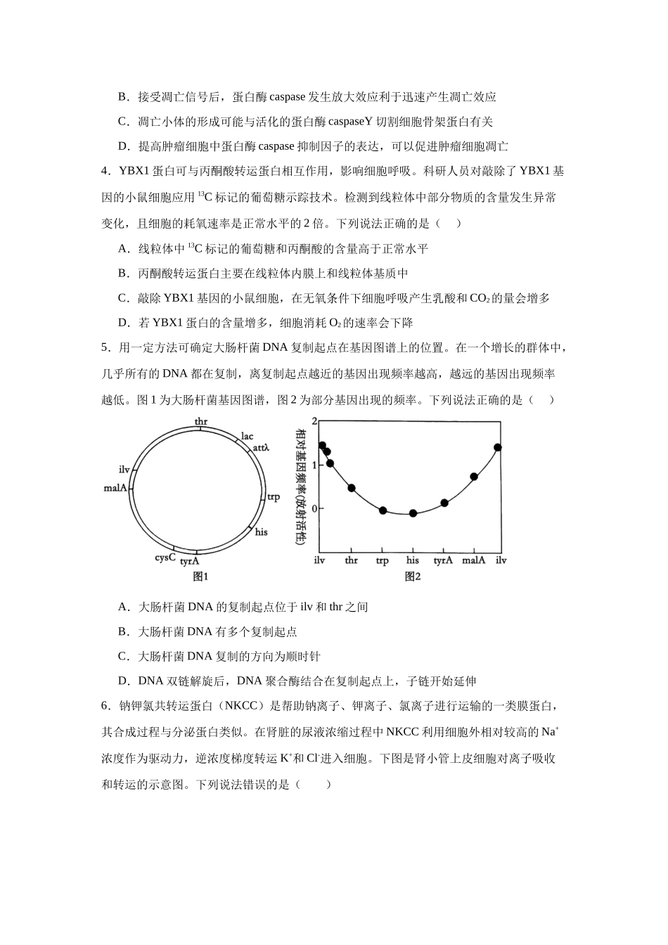 信息必刷卷04(山东专用)学生版.docx_第3页