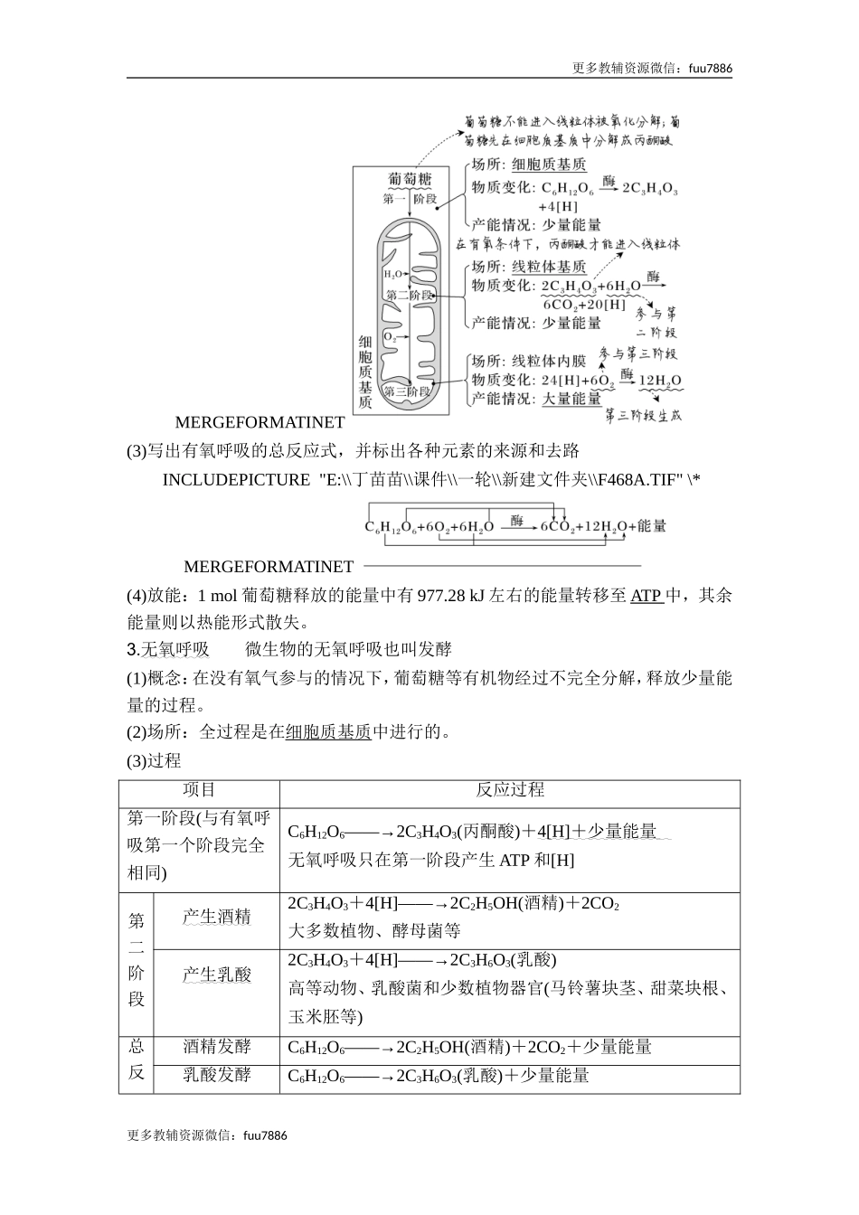 第8讲 细胞呼吸.doc_第2页