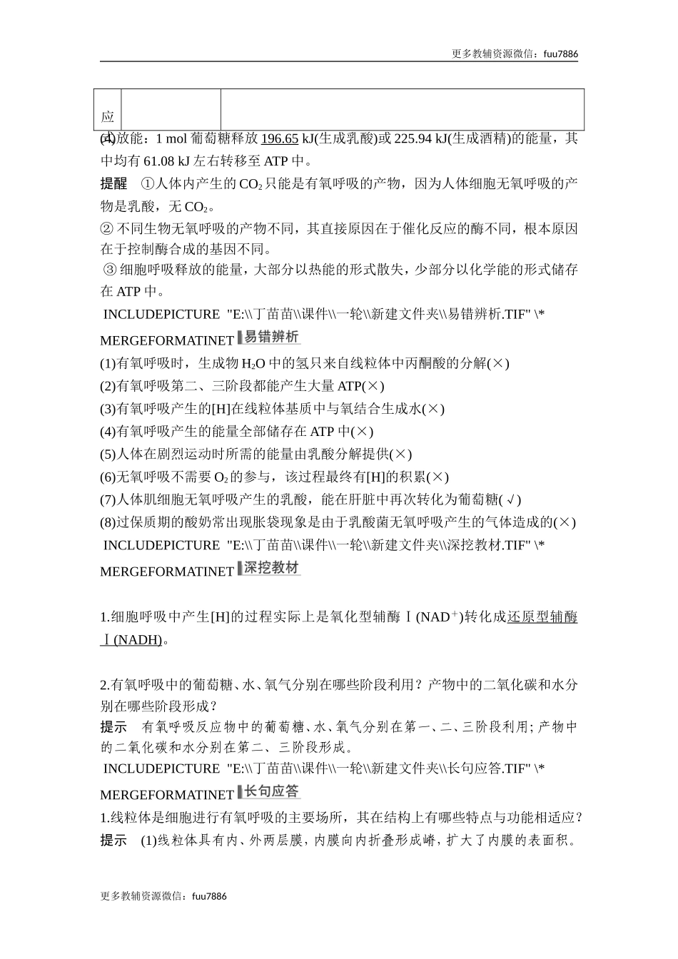 第8讲 细胞呼吸.doc_第3页