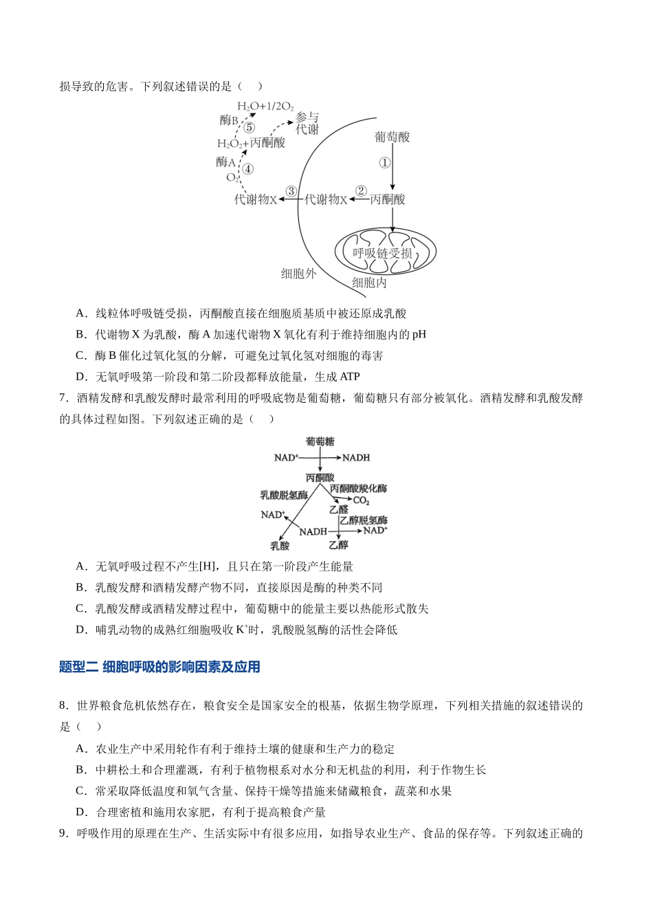 第09讲  细胞呼吸（专项训练）（四川专用）（学生版）.docx_第3页