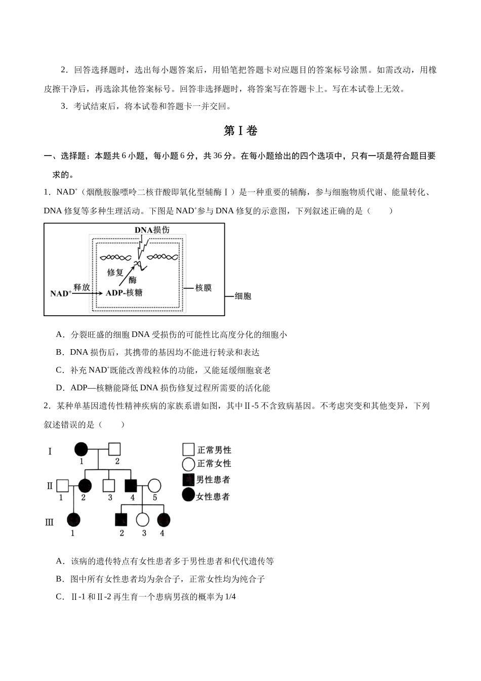 信息必刷卷04（新课标卷，新疆、西藏专用）学生版.docx_第3页