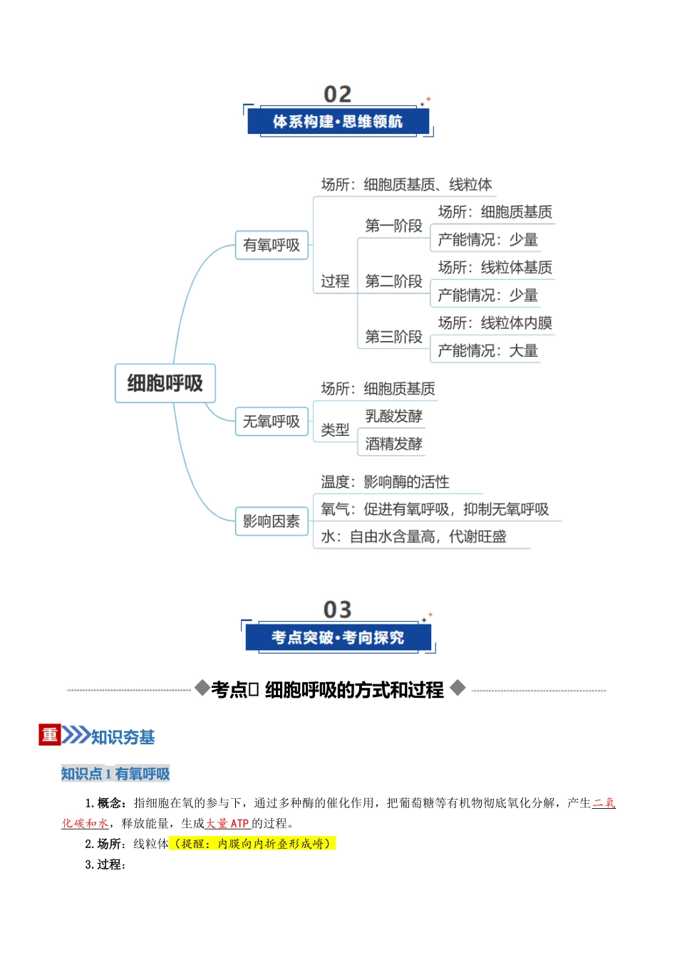第09讲 细胞呼吸(复习讲义)(全国通用)(教师版).docx_第3页