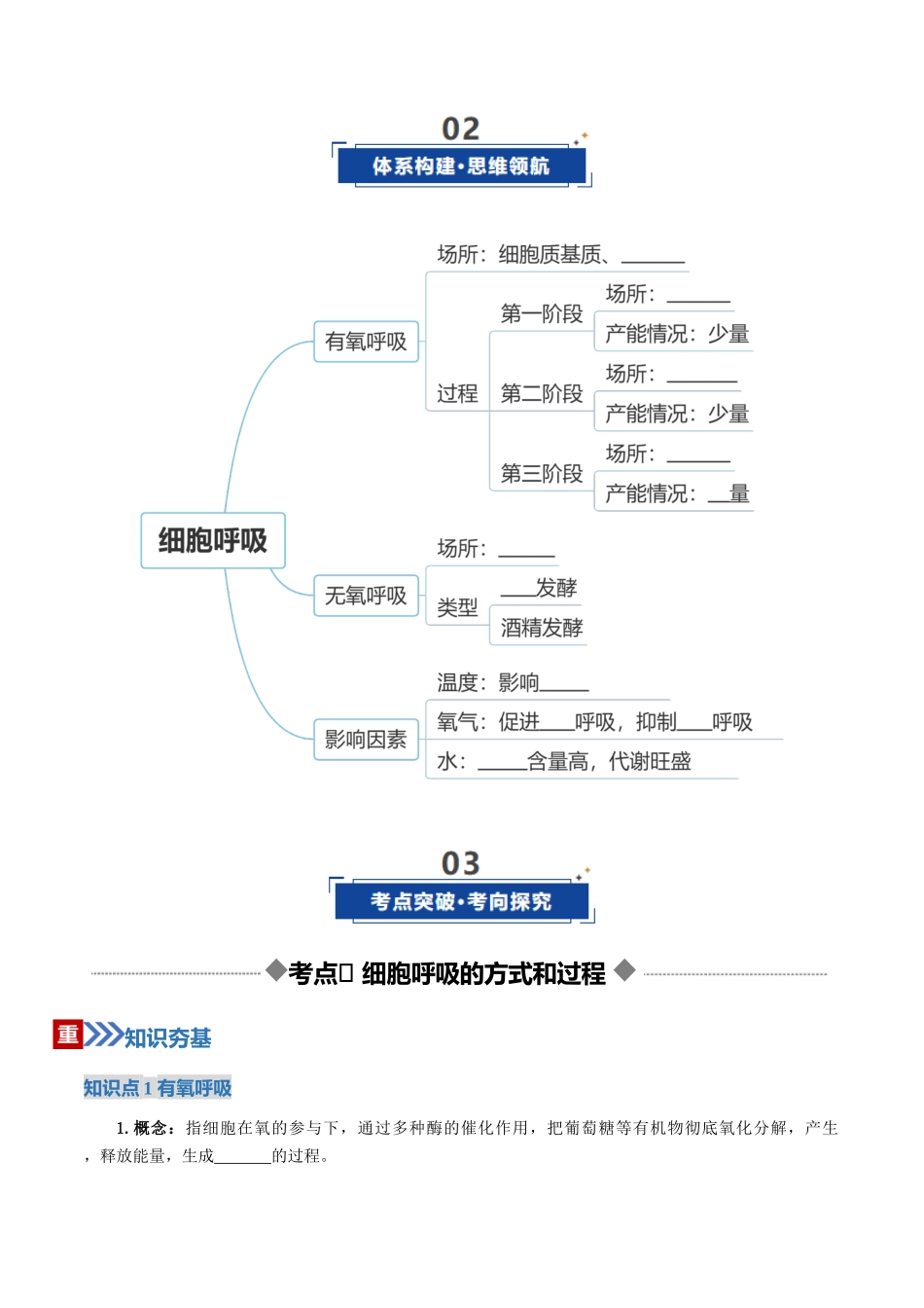 第09讲 细胞呼吸（复习讲义）（全国通用）（学生版）.docx_第3页