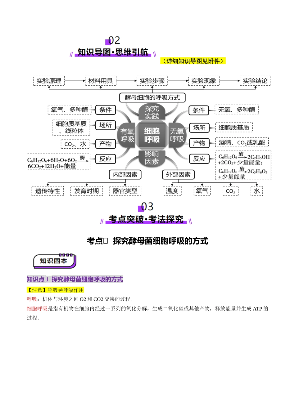 第09讲 细胞呼吸(讲义)(教师版).docx_第3页