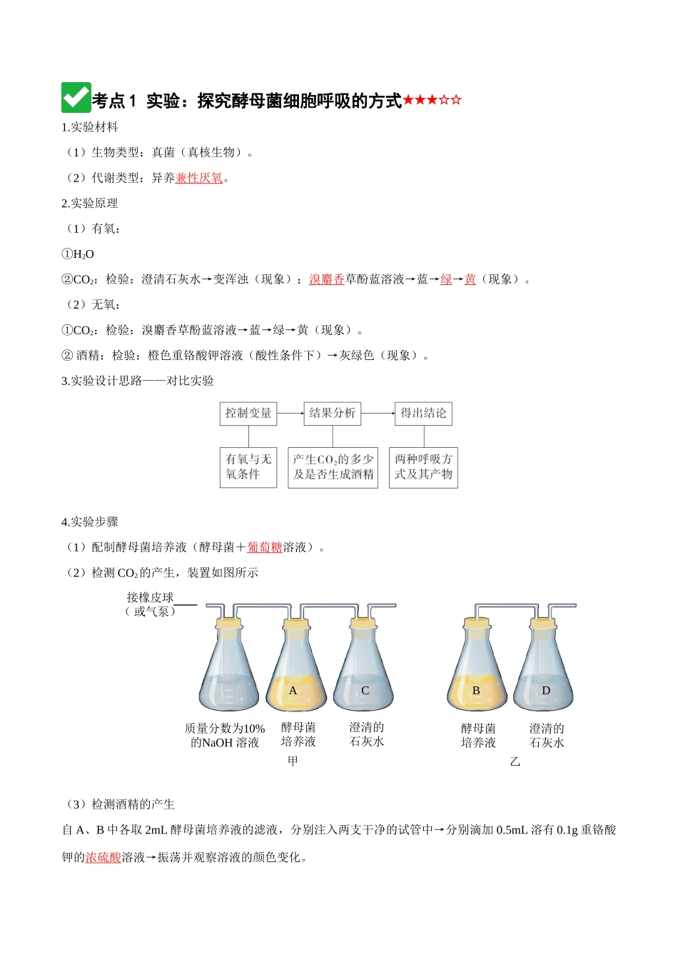 第09讲 细胞呼吸（知识清单）（全国通用）（教师版）.docx_第3页