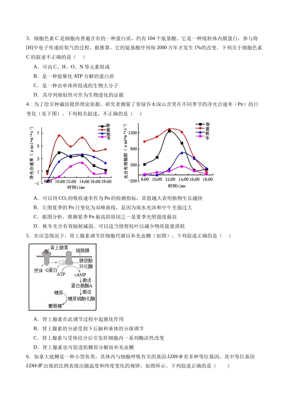 信息必刷卷05（安徽专用）学生版 - .docx_第2页