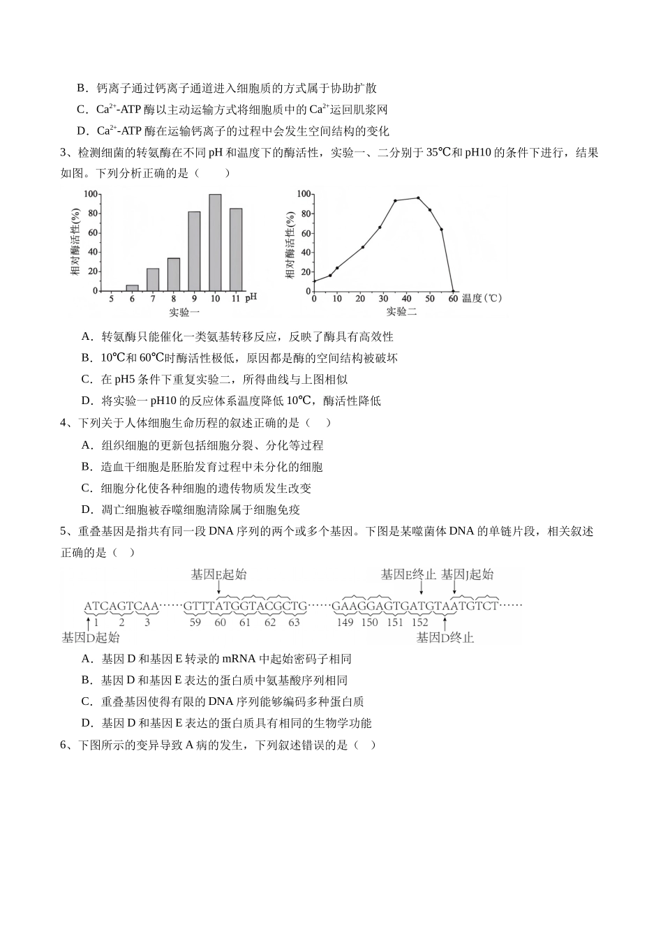 信息必刷卷05(北京专用)(学生版).docx_第2页