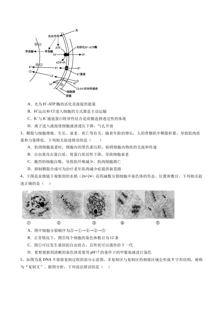 信息必刷卷05（江苏专用）（学生版）.docx_第2页