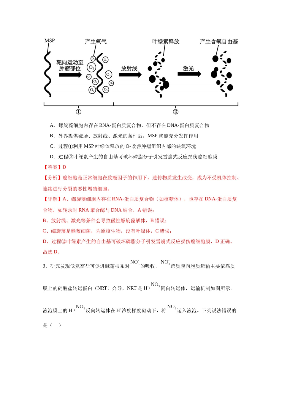 信息必刷卷05(山东专用)教师版.docx_第3页