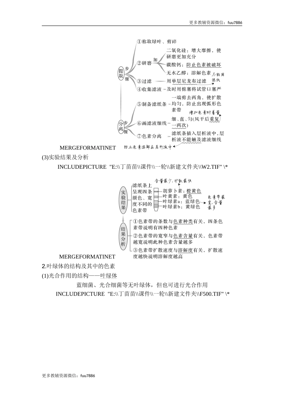 第9讲 光合作用与能量转化.doc_第2页