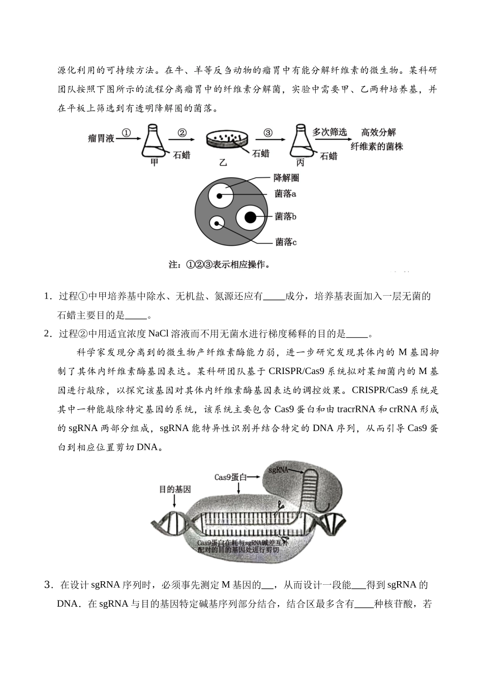 信息必刷卷05（上海专用）学生版.docx_第2页