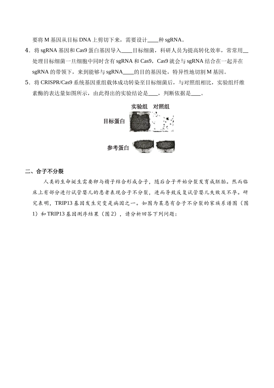 信息必刷卷05（上海专用）学生版.docx_第3页