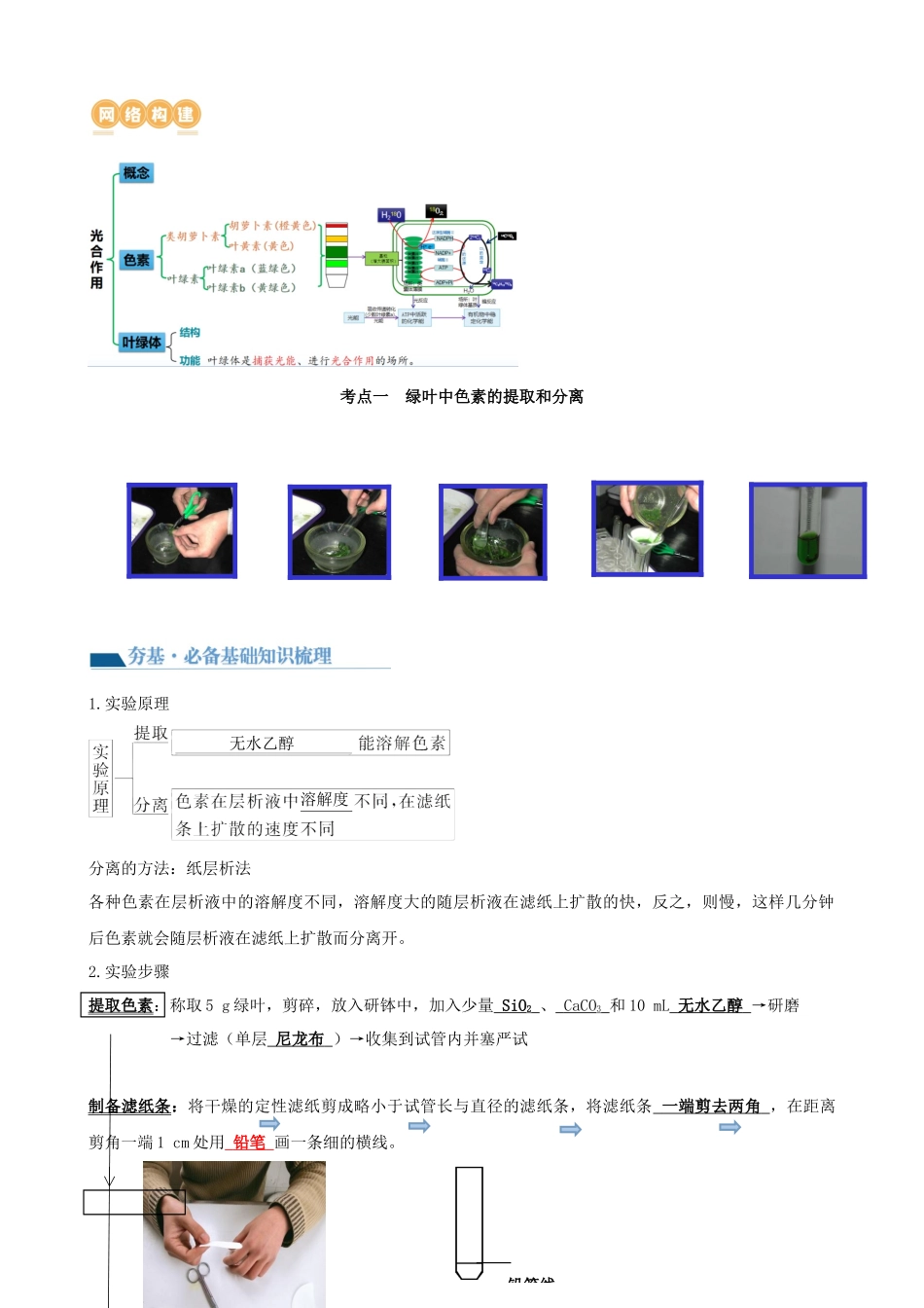 第10.1讲 光合色素和光合作用原理（讲义）（教师版）.docx_第2页