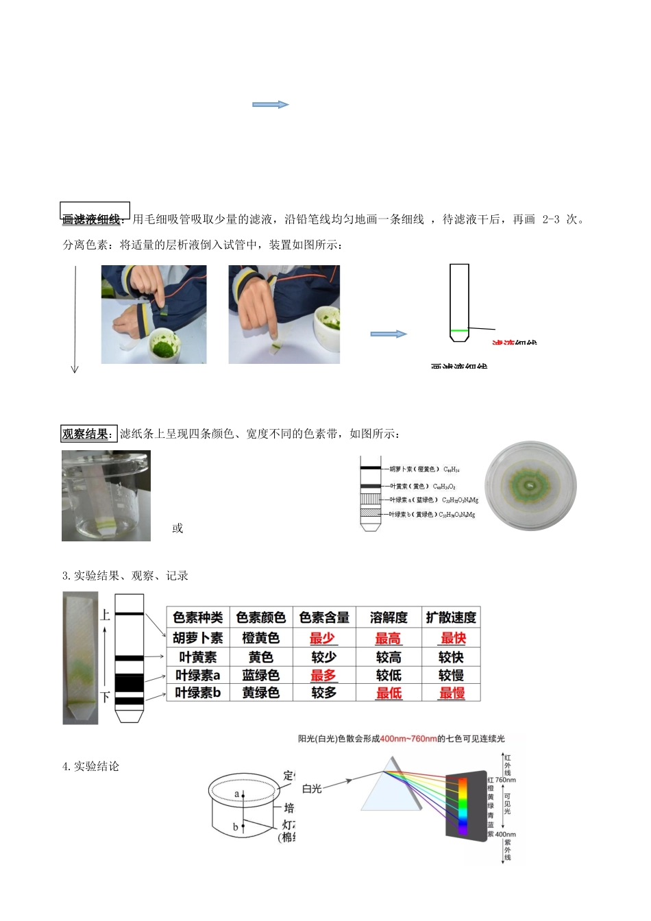 第10.1讲 光合色素和光合作用原理(讲义)(学生版).docx_第3页