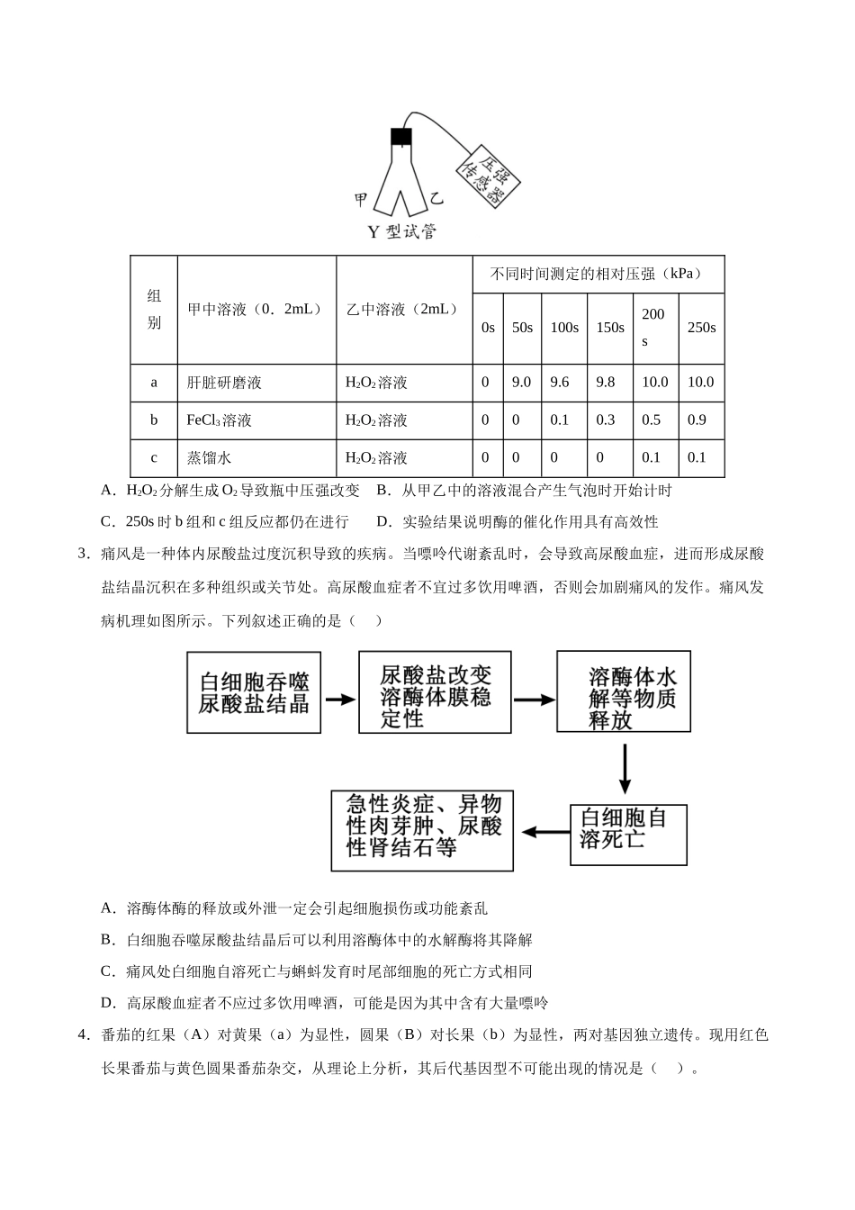 信息必刷卷05(学生版).docx_第2页