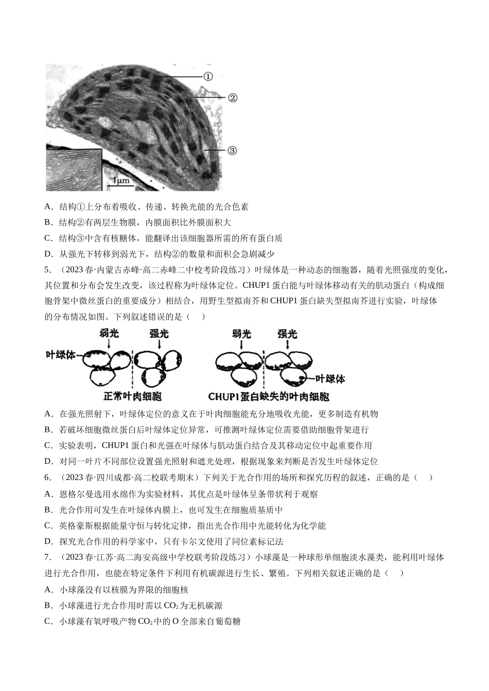 第10.1讲 光合色素和光合作用原理(练习)(原卷版).docx_第2页