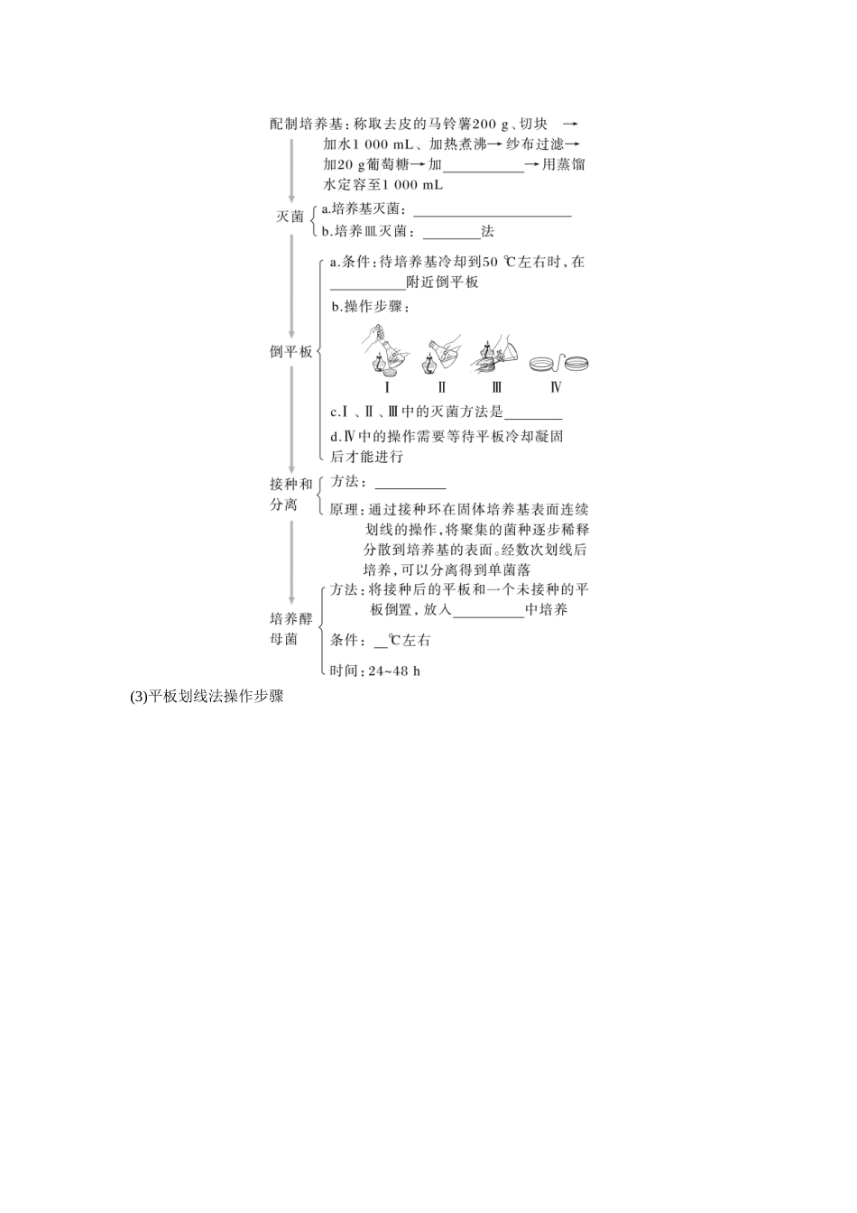 第10单元 第2课时 微生物的培养技术及应用.docx_第3页