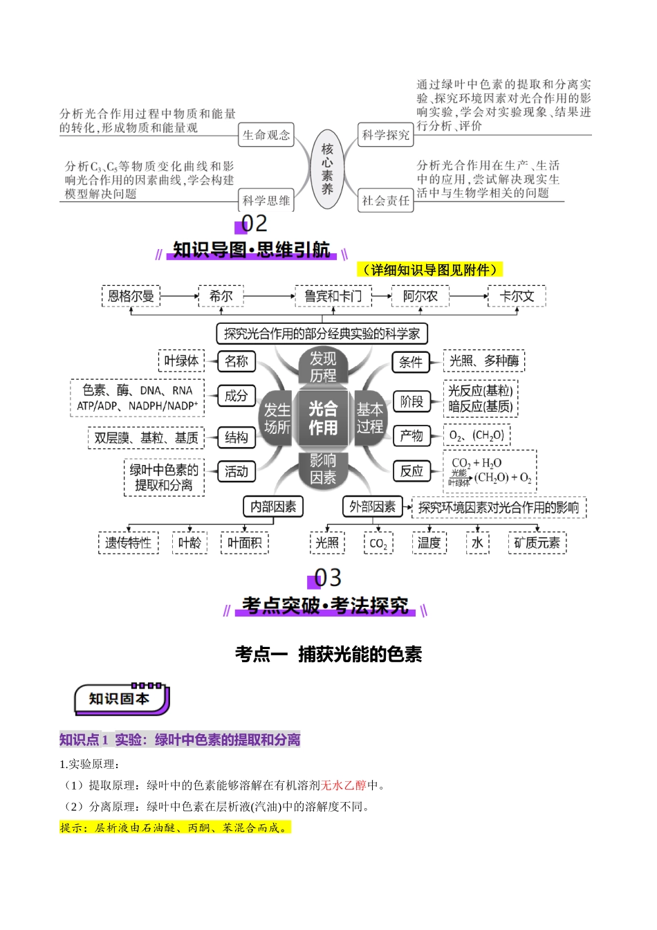 第10讲 光合作用(第一课时)(讲义)(教师版).docx_第3页