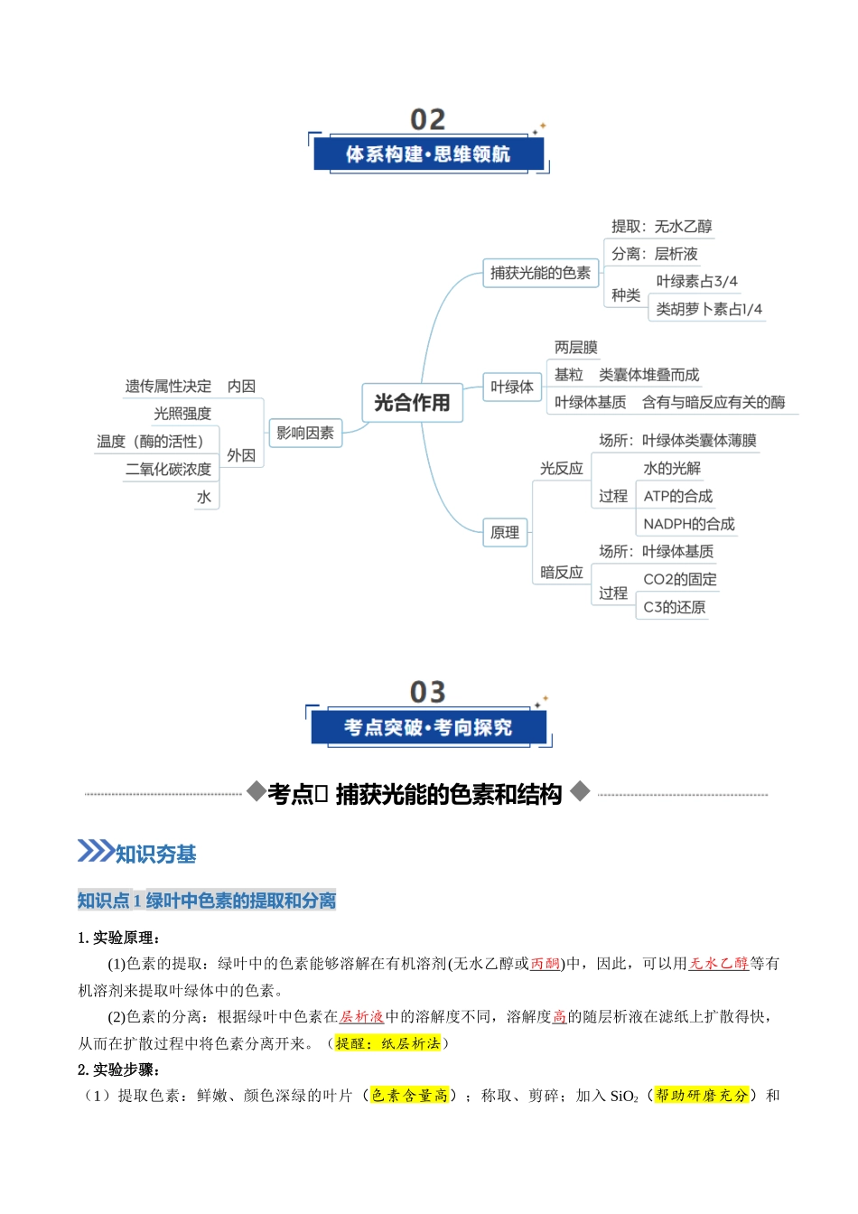 第10讲 光合作用(复习讲义)(全国通用)(教师版).docx_第3页