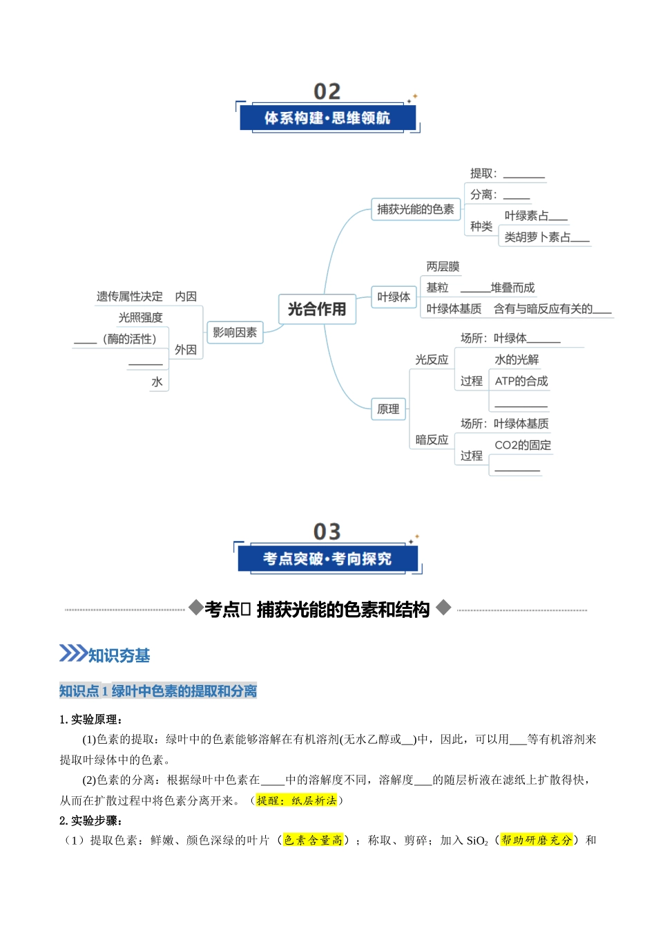 第10讲 光合作用(复习讲义)(全国通用)(学生版) .docx_第3页