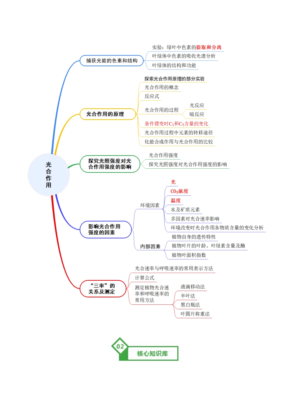 第10讲 光合作用(知识清单)(全国通用)(教师版).docx_第2页