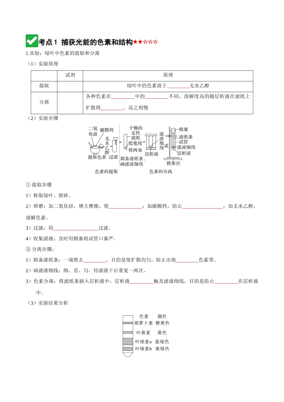 第10讲 光合作用(知识清单)(全国通用)(学生版).docx_第3页