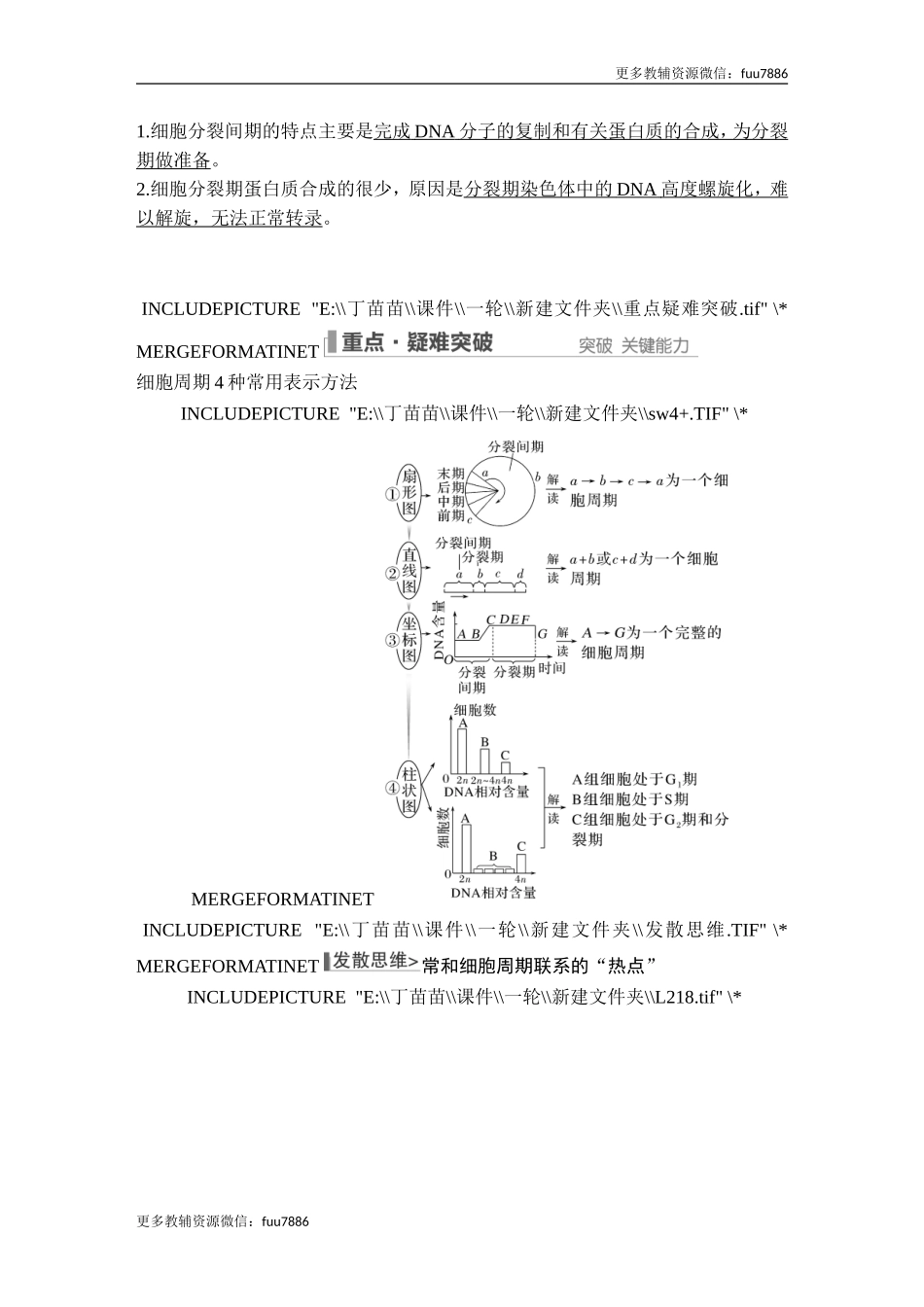 第10讲 细胞的增殖.doc_第3页
