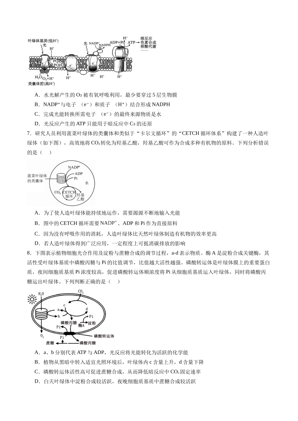 第11讲 光合作用(专项训练)(福建专用)(学生版).docx_第3页